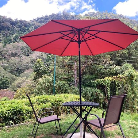 Los Lagos Lodge San Gerardo de Dota Extérieur photo
