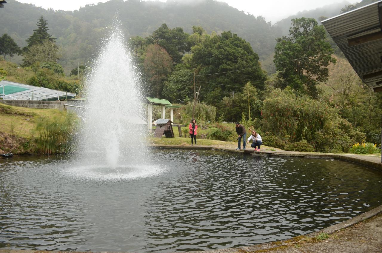 Los Lagos Lodge San Gerardo de Dota Extérieur photo