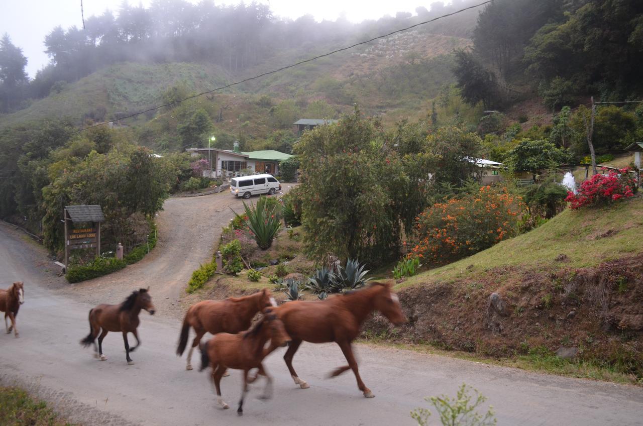 Los Lagos Lodge San Gerardo de Dota Extérieur photo