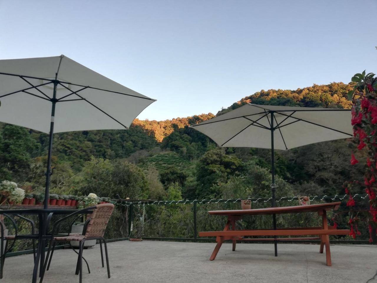 Los Lagos Lodge San Gerardo de Dota Extérieur photo